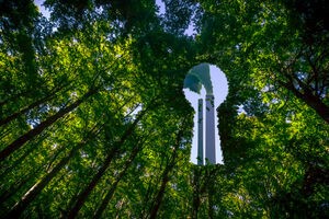 Greenhushing: The Indirect Consequence of the Crackdown on Greenwashing?